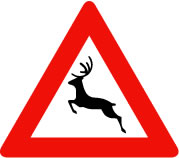 deer crossing